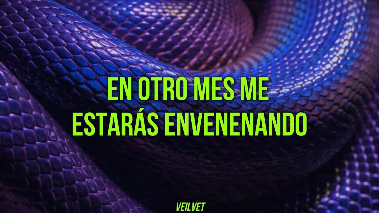 The Church - Reptile // Letra Español
