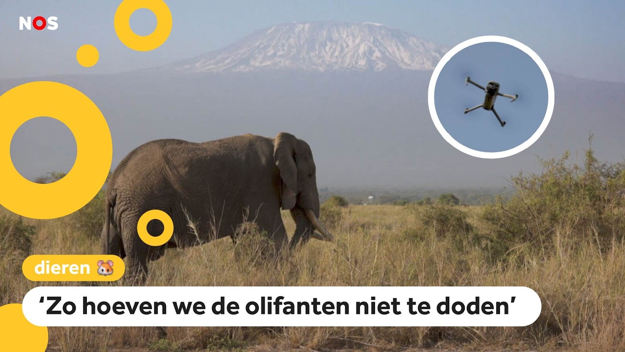 Drone moet ruzie tussen boer en olifant stoppen