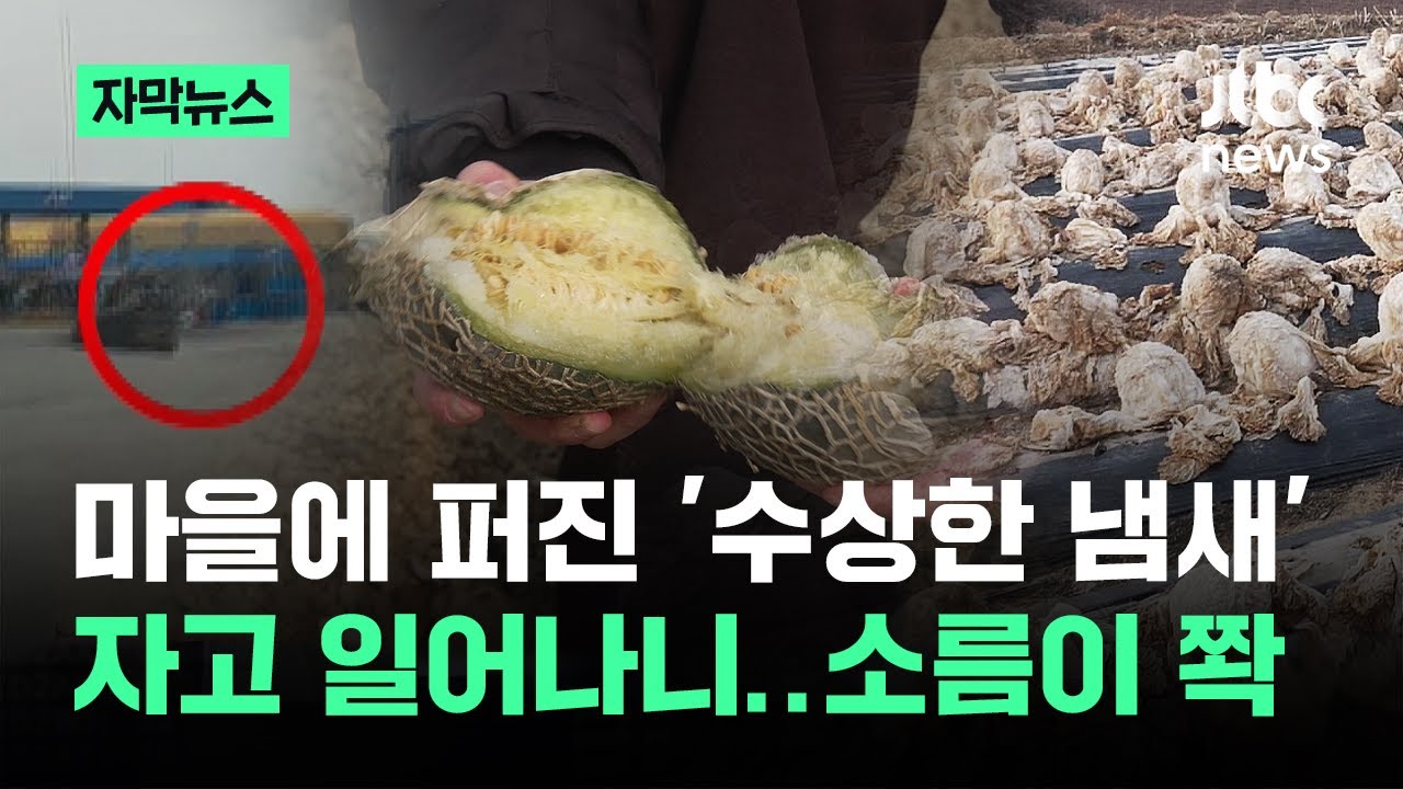 [자막뉴스] 마을에 퍼진 '수상한 냄새'…자고 일어나니 '소름이 쫙' / JTBC News