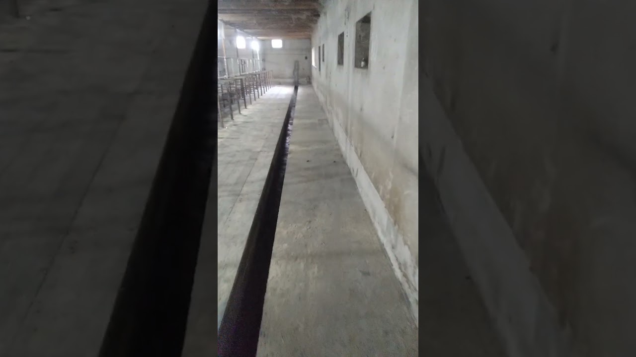 0517572323 fermalarin yigilmasi