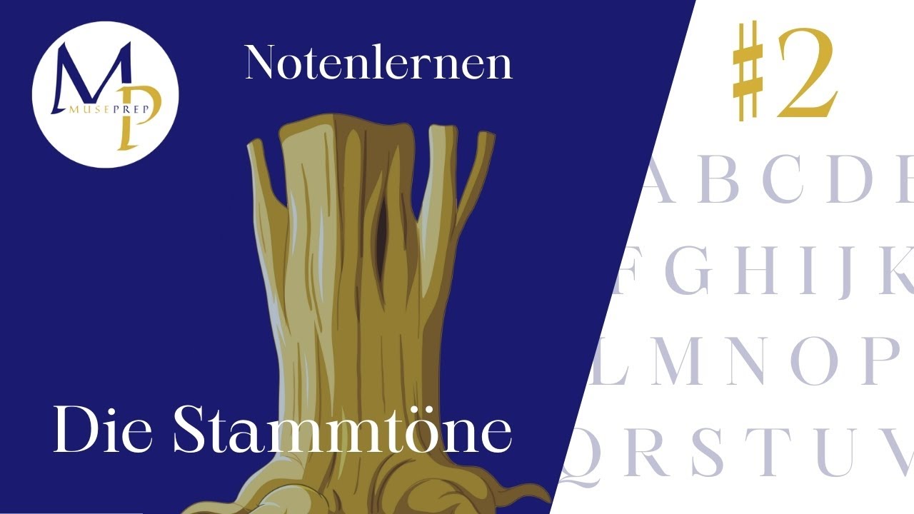 Notenlernen Basics #2: Die Stammtöne