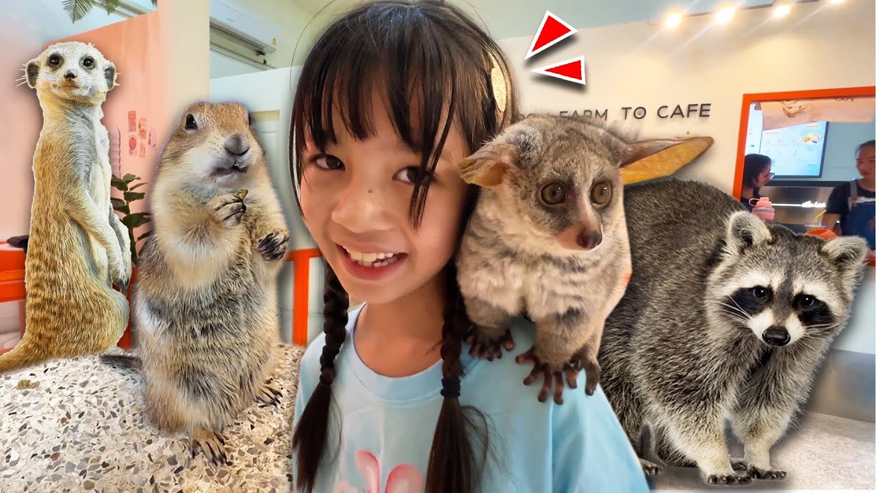 เจอแล้วคาเฟ่สัตว์แปลกที่เราตามหา | บริ้งค์ไบรท์