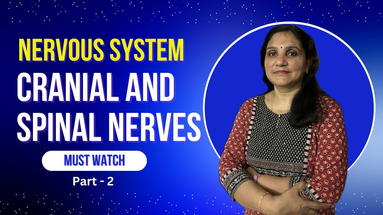 Nervous System | Part - 2 | Cranial and Spinal Nerves | Malayalam