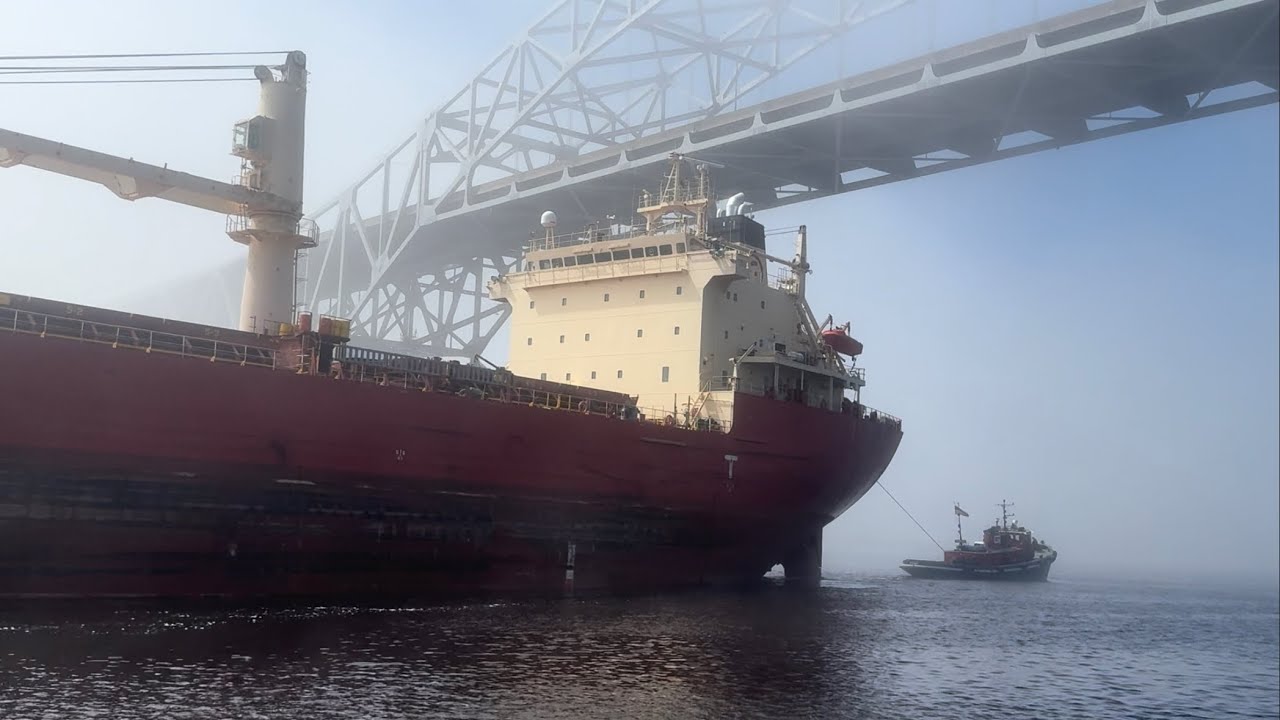 Giants in the Mist