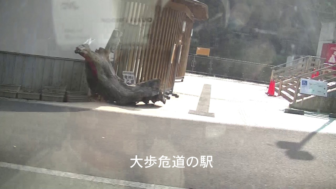 四国  仁淀川町　ひょうたん桜