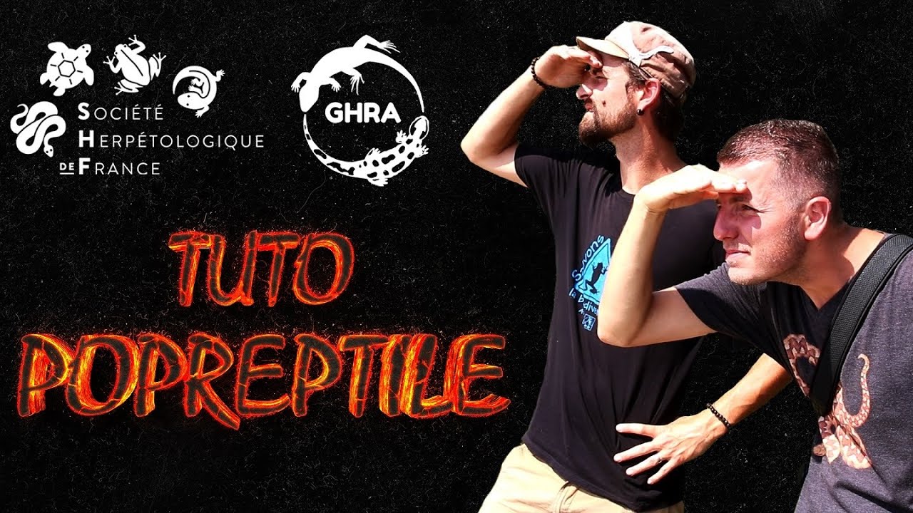 Tuto POPReptile (Feat. Groupe Herpétologique Rhône-Alpes)