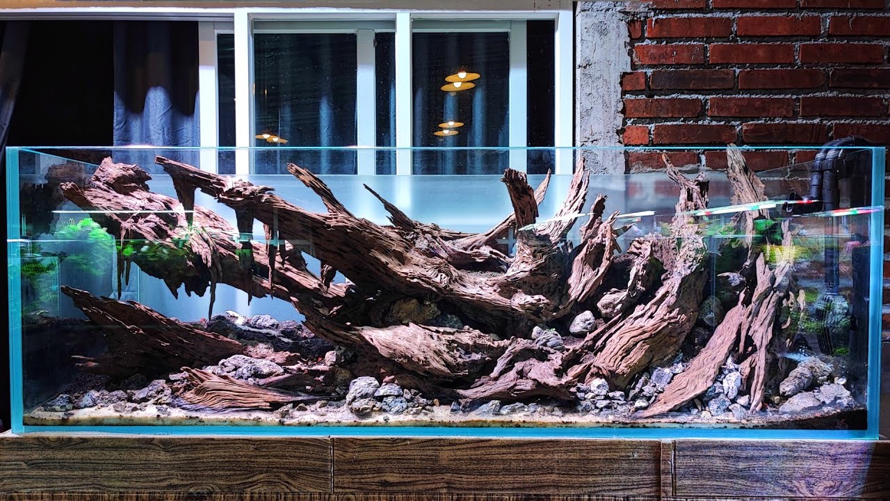 #345 Making a Hardscape Kenzho style 2022