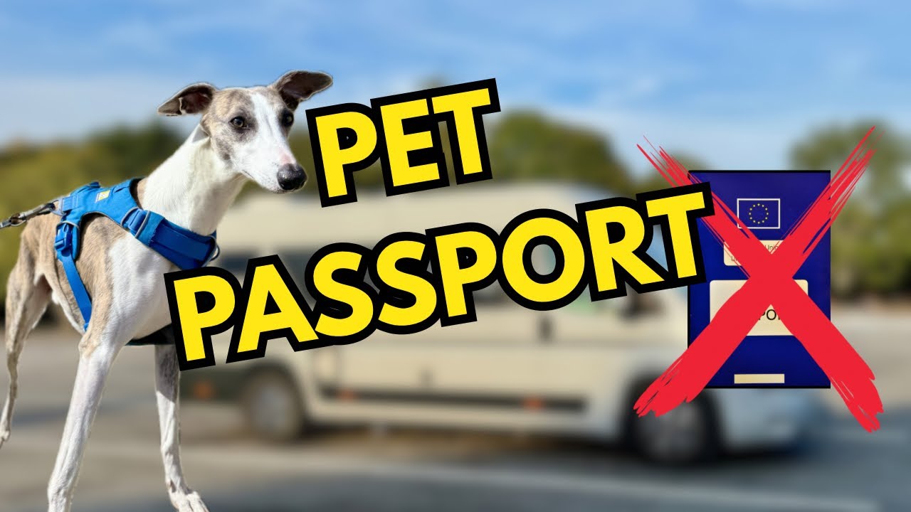 Pet Passport Disaster! Our France Trip CANCELLED! 😱