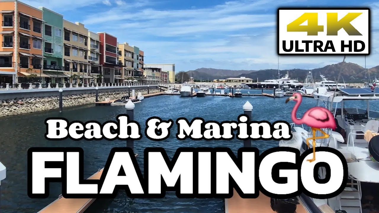 🦩Tour Flamingo Marina & Beach, Costa Rica // High End Area For Yachts + Clear Sand Beach #travel