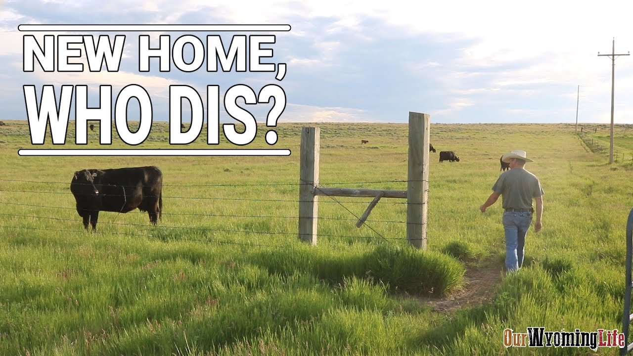 Prepping a New Pasture - Our Wyoming Life