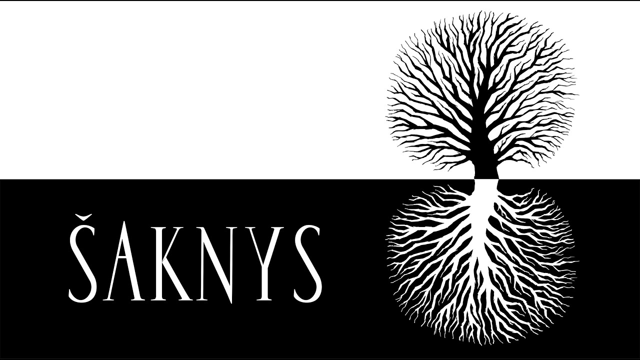 Šaknys. KELMĖ