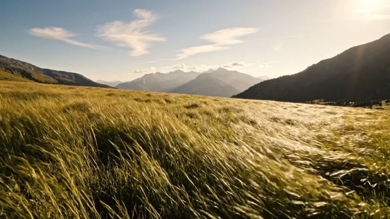 🍃고요한 산바람의 초원 _ Silent Mountain Wind over the Grassland | asmr | 수면 | 바람 | sleep | grassland | wind