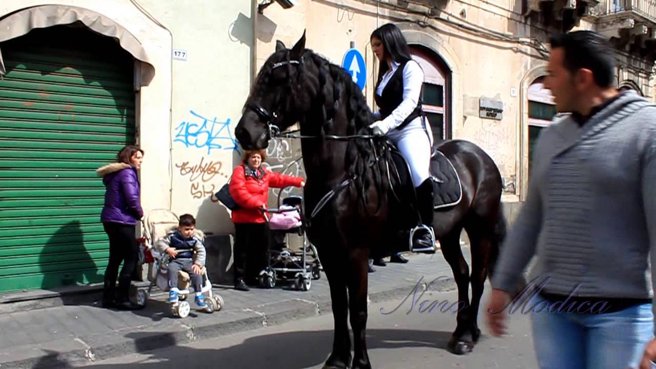 Sfilata di Cavalli a Paternò 30 Marzo 2014