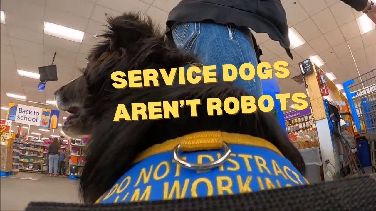 My service dog had a rough start at WalMart