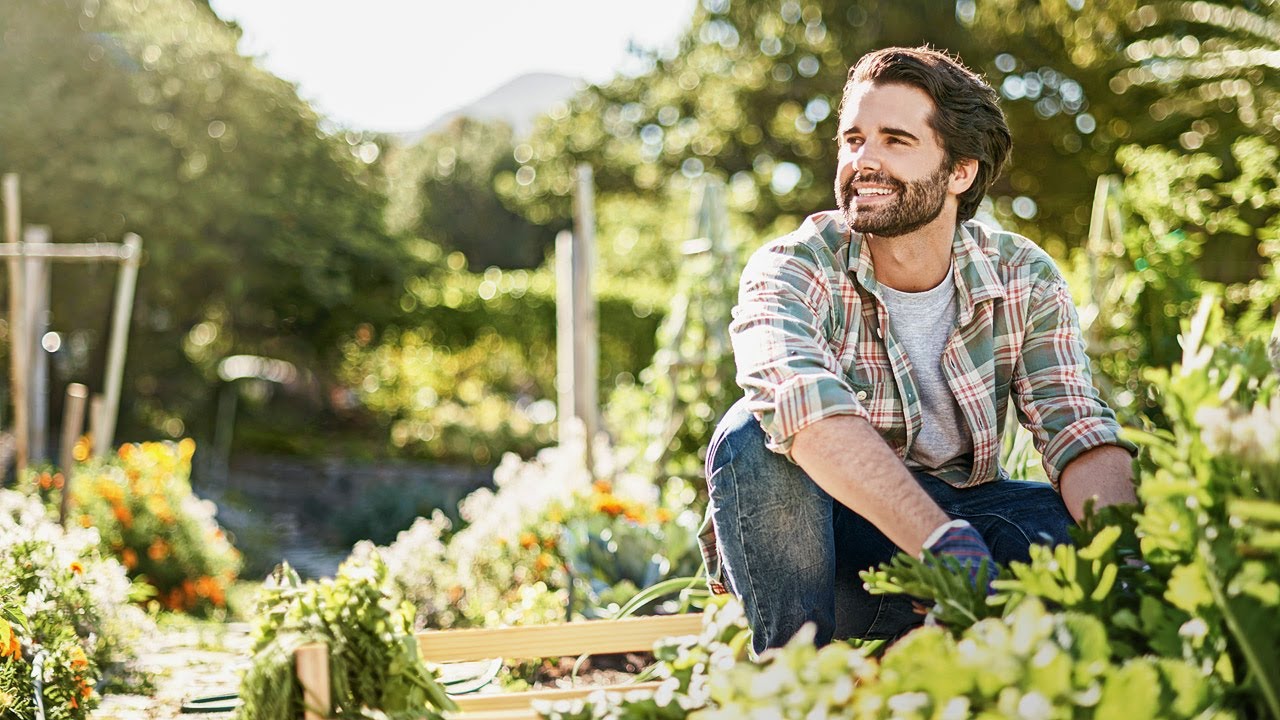 tegut... Saisongarten