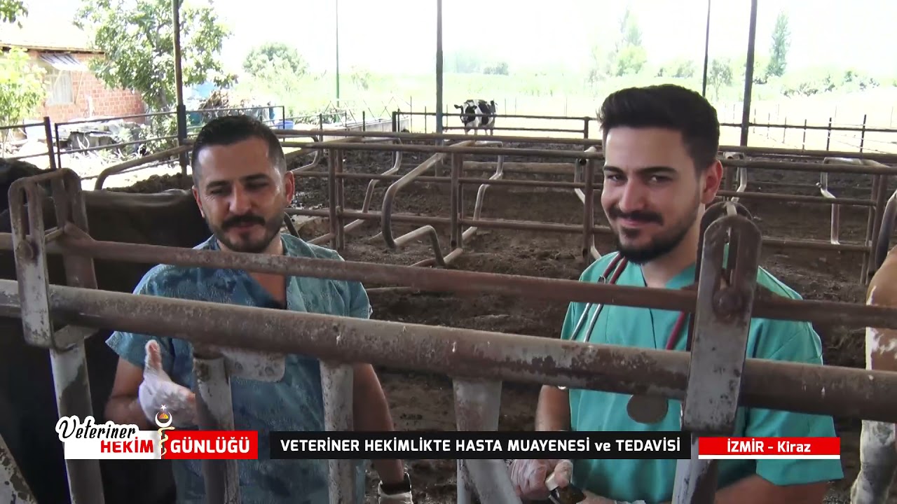 VETERİNER HEKİM GÜNLÜĞÜ - Kiraz/İZMİR - 17.08.2021