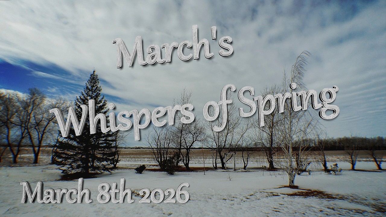March's Whisper of Spring   March 8th 2026