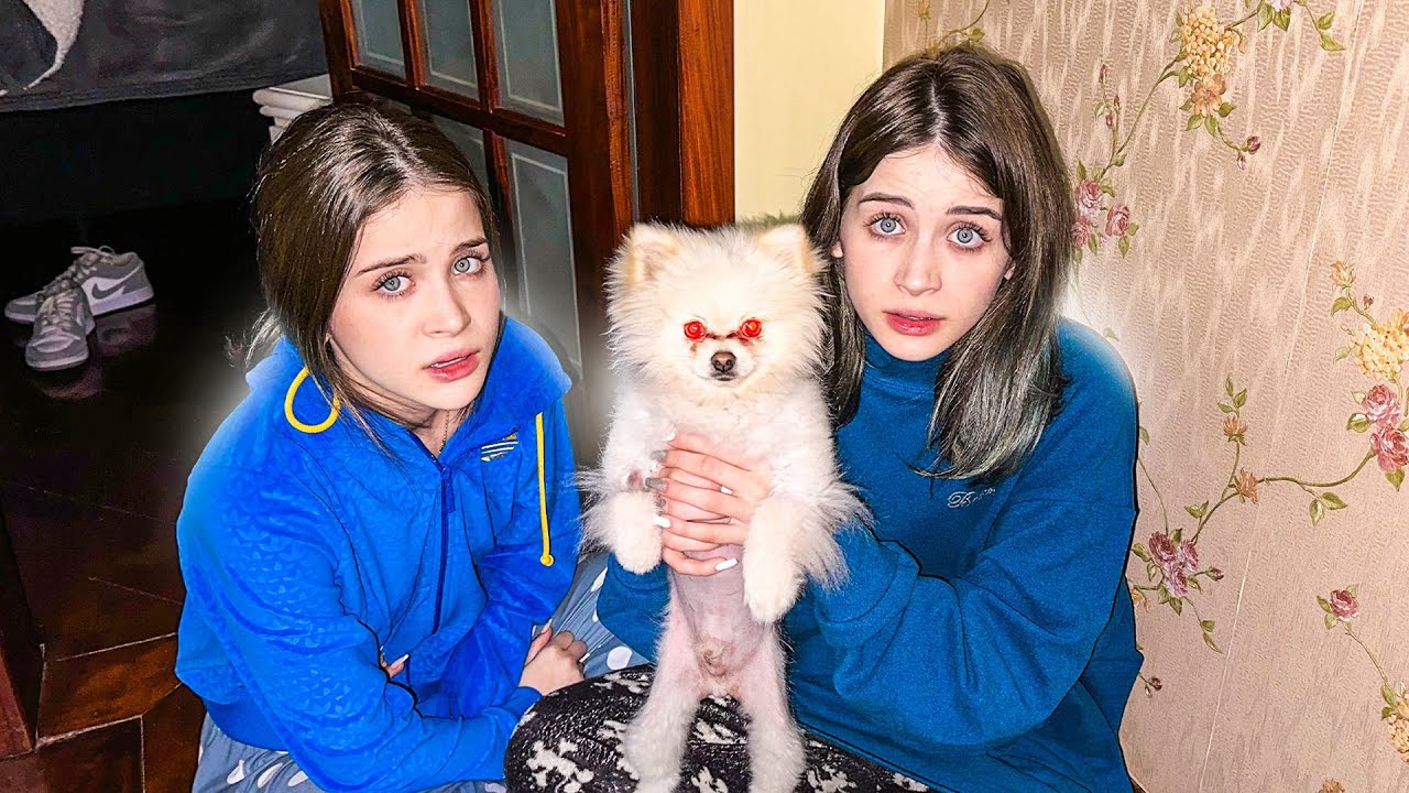 NOSSO CACHORRO ESTÁ VENDO ESPÍRIT0S! 😰