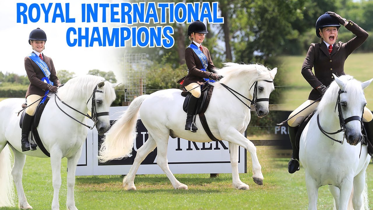 WE CAN'T BELIEVE IT!! ROYAL INTERNATIONAL CHAMPIONS!