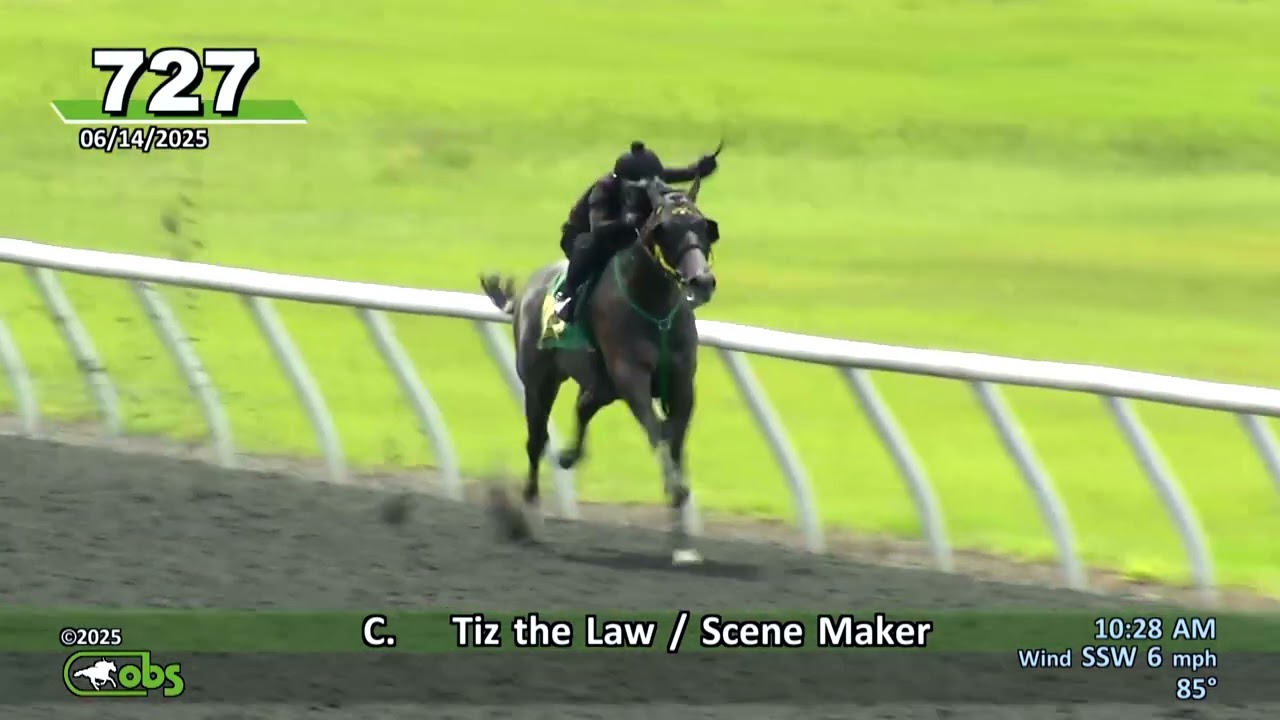 OBS June 2025 Under tack Hip #706-903