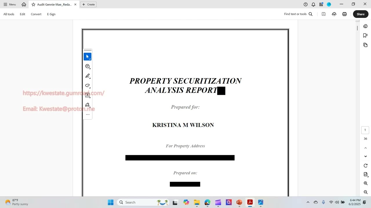 Securitization Audit1