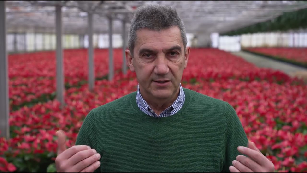 Piante tropicali alle pendici dell'Amiata