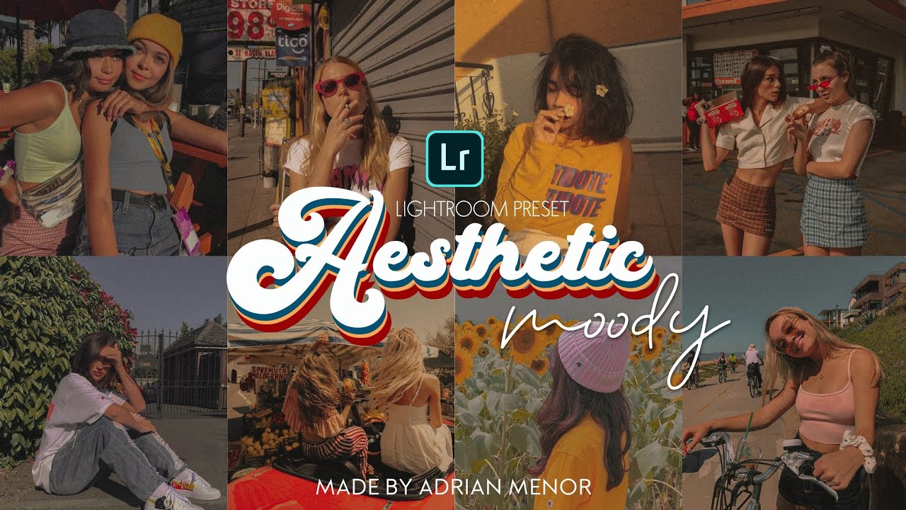 Aesthetic Moody Presets | Free Lightroom DNG XMP| How to edit 2 AESTHETIC MOODY PRESETS tutorial