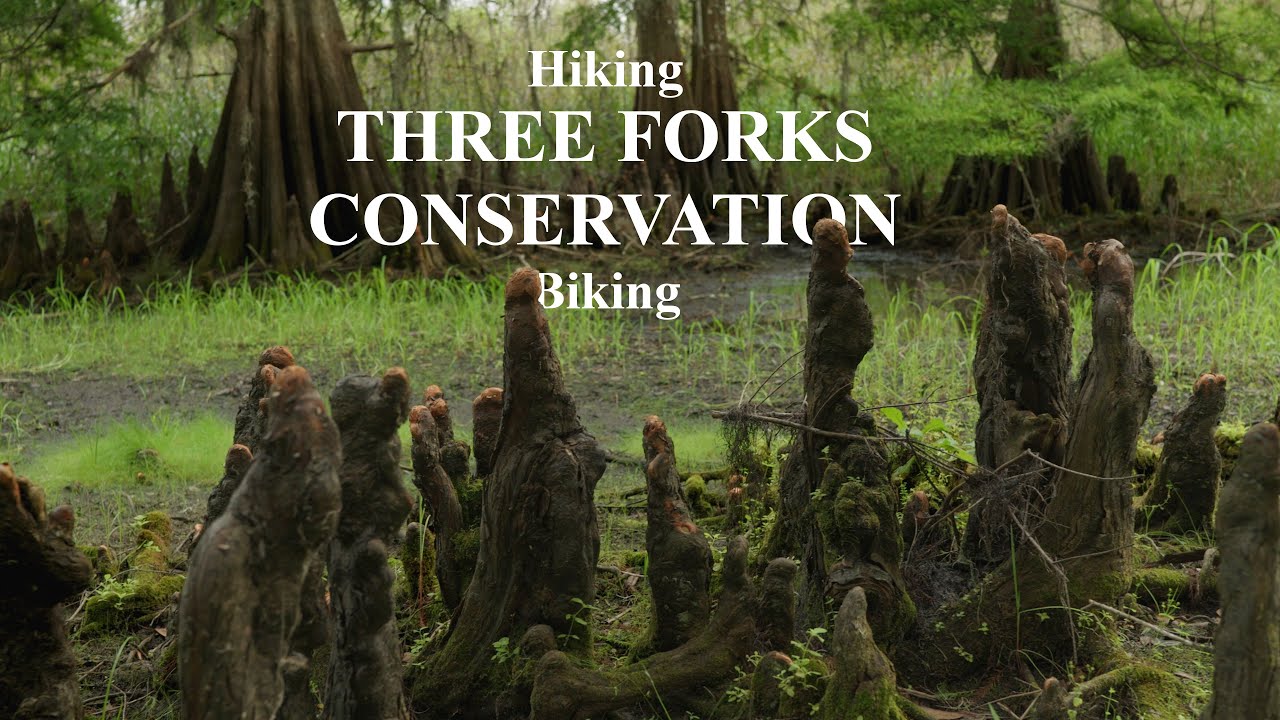 Cinematic Exploration | Three Forks Conservation | Biking & Hiking