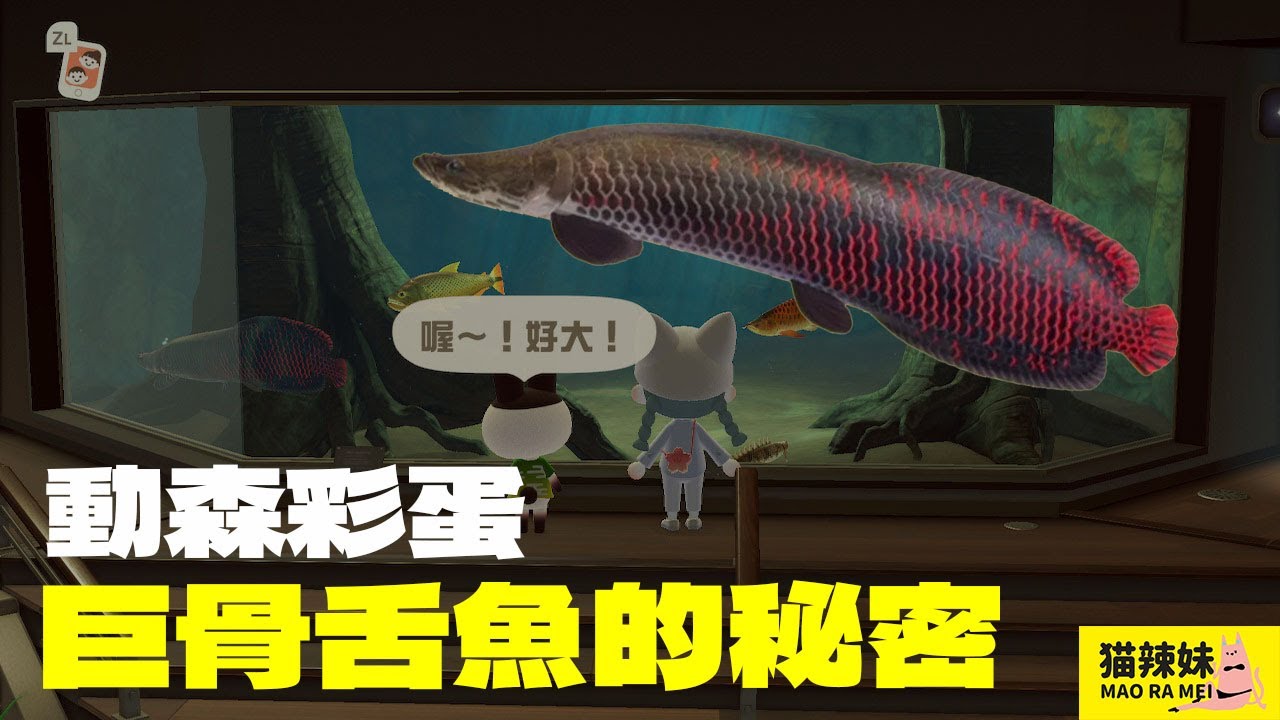 【 動森彩蛋分享】巨骨舌魚的秘密 | 貓辣妹