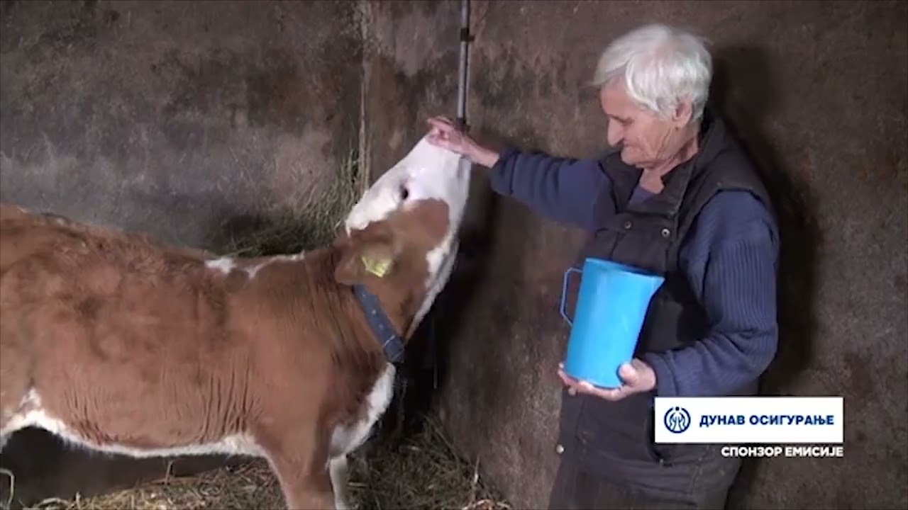 TV Informator  - FARMA ŽUNJIĆ IZ SOKOLIĆA 24 02 2026