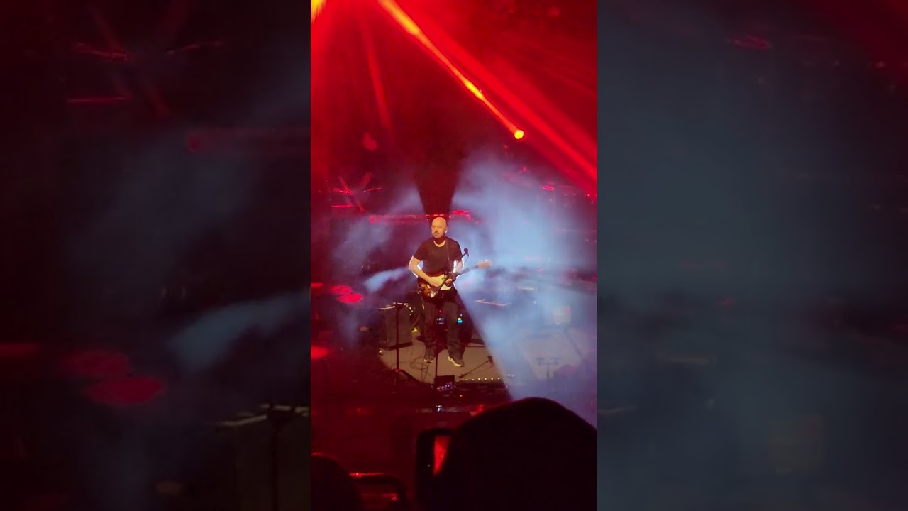 Comfortably Numb 🎸 solo #BritFloyd 
