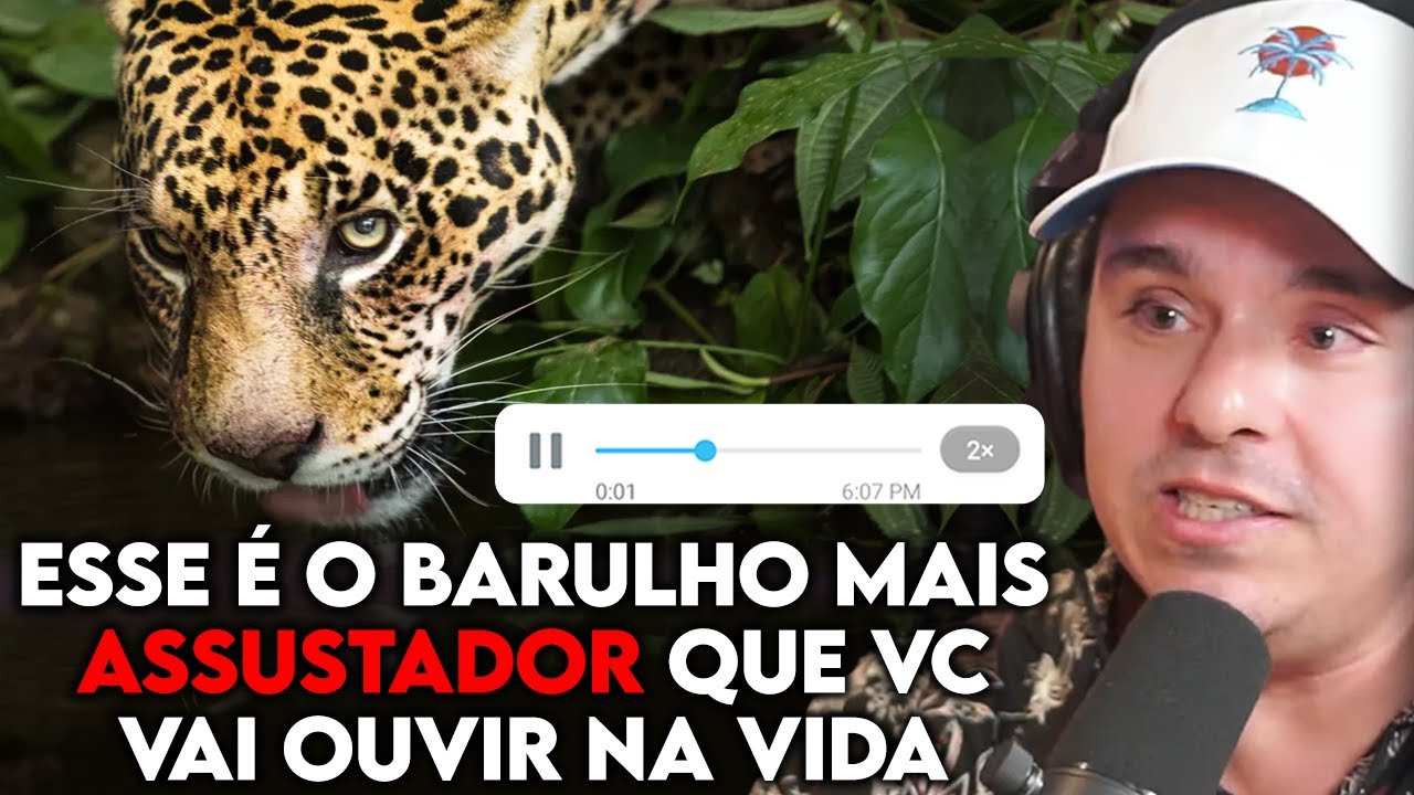 COMO É ENCONTRAR UMA ONÇA NA AMAZÔNIA | Lutz Podcast