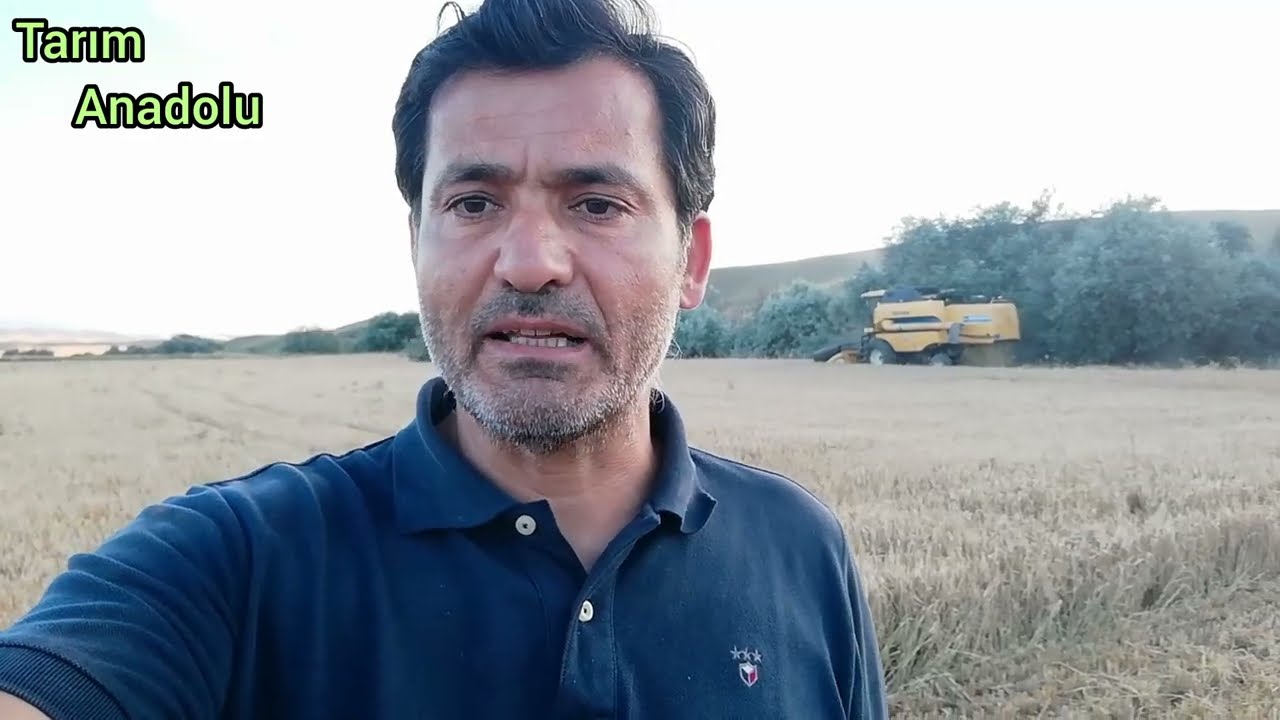 Buğdayda Hümik Asit Uygulaması ve Sonuçları