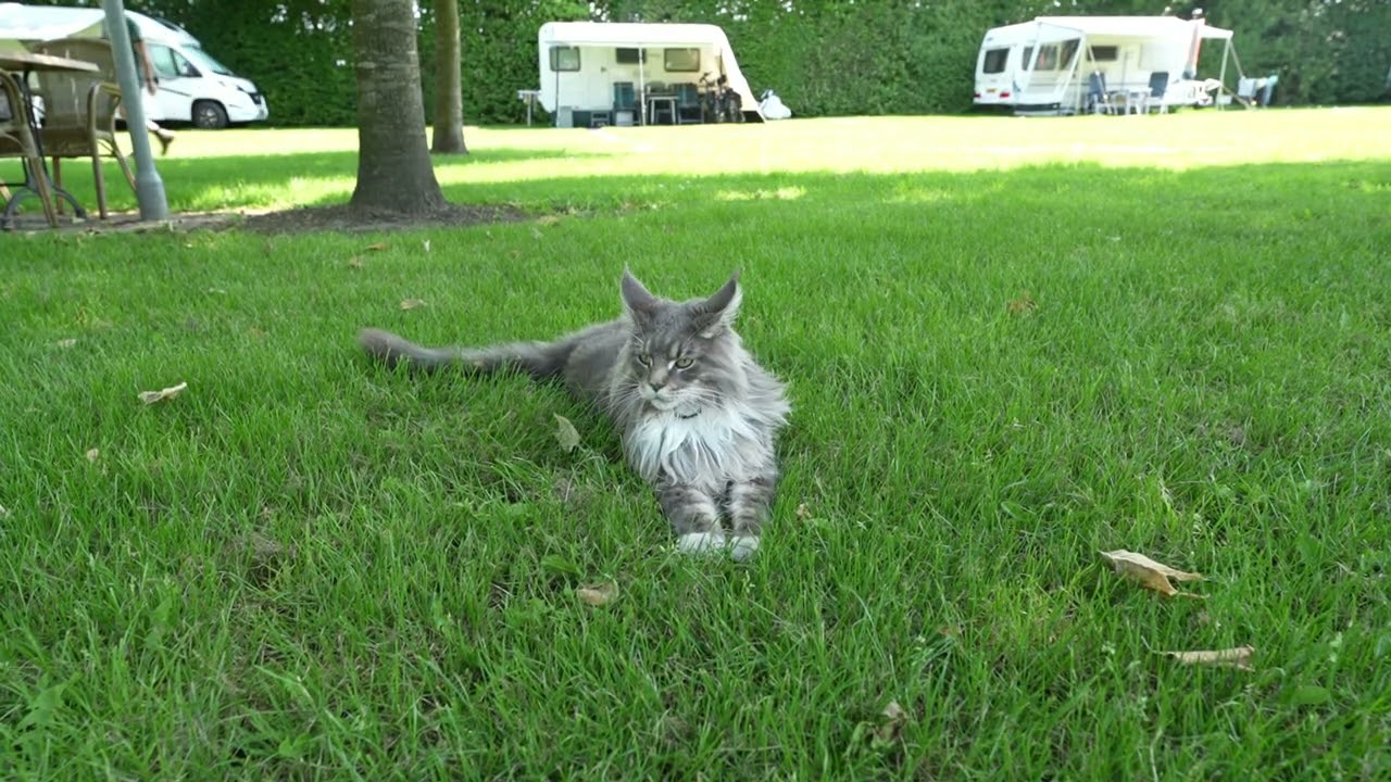 Camping Boerenbont