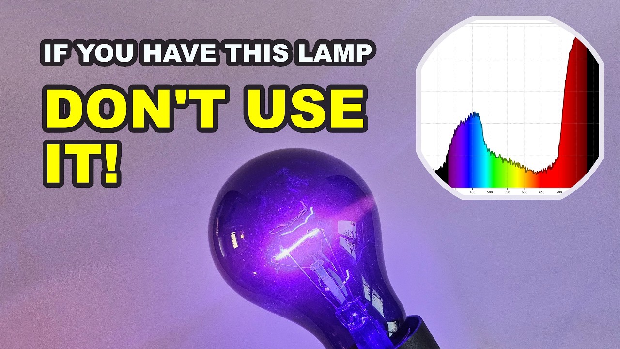 If You Have This Lamp - Don't Use It