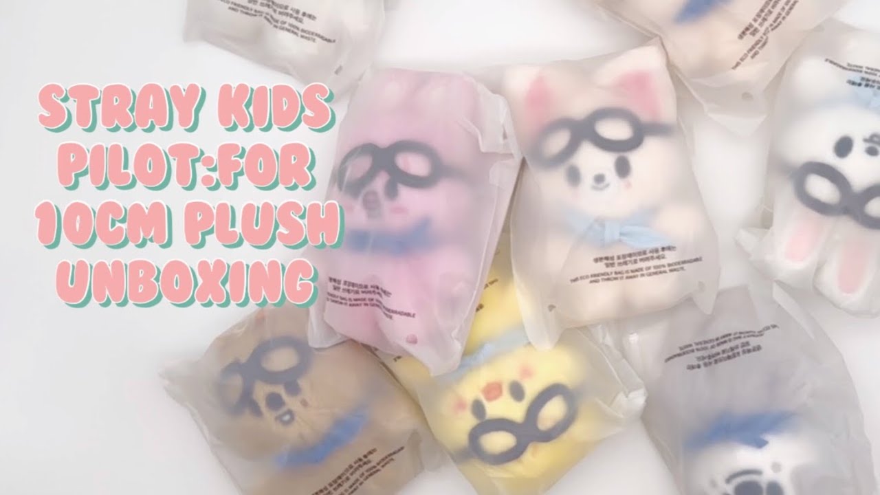 Stray Kids [PILOT :FOR] 10cm PLUSH Unboxing | 開封の儀 | 언박싱