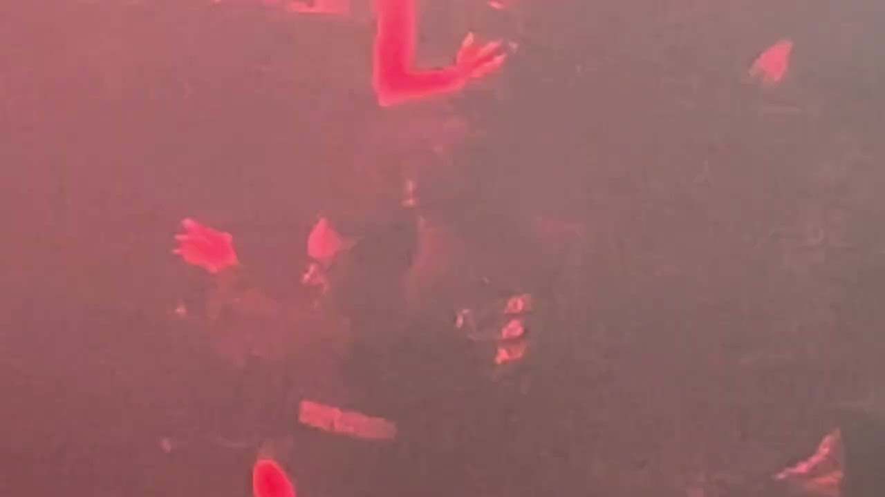 Dj Marky & Friends - Koko, Camden - 21/02/26
