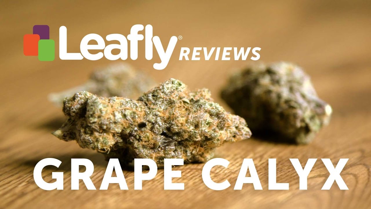 Grape Calyx Hybrid Strain by Calyx Garden &ndash; Leafly Reviews