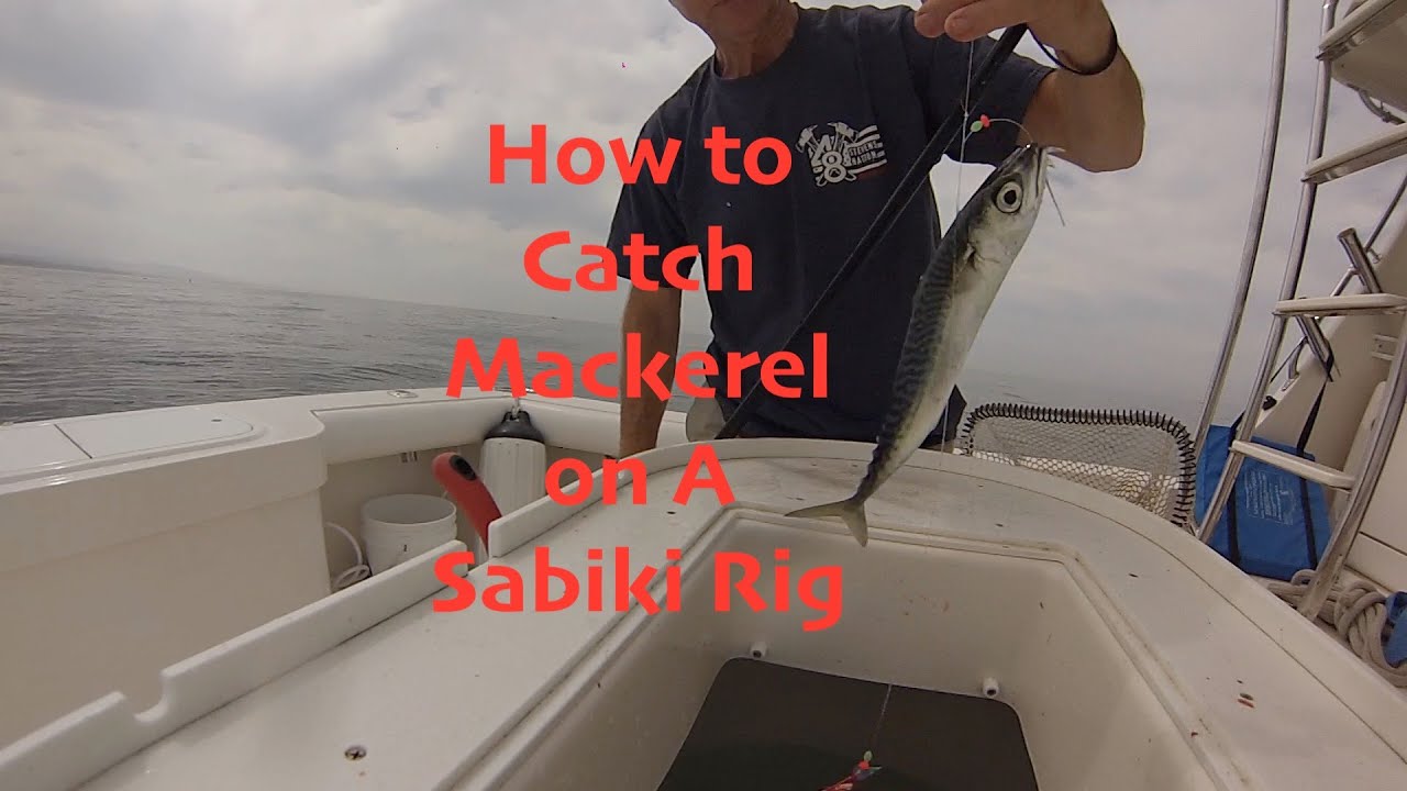 How to Catch Mackerel on a Sabiki Rig