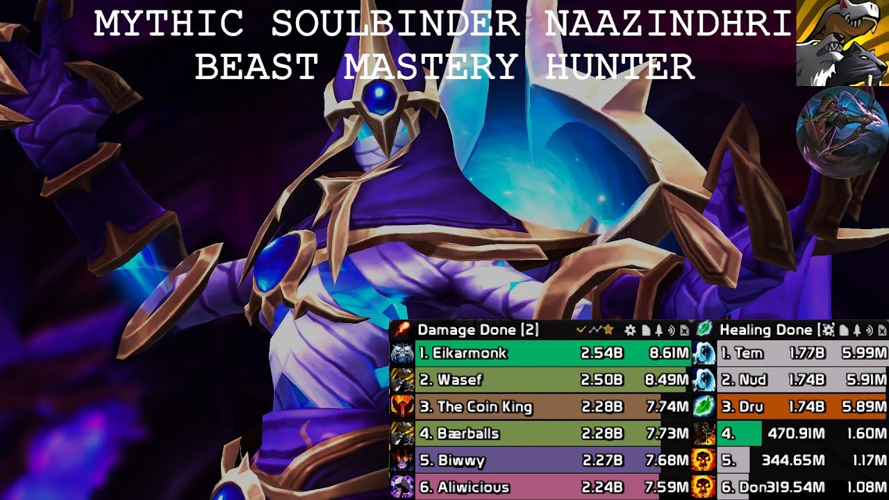 War Within Season 2 [11.2.0] | Mythic: Soulbinder Naazindhri | Beast Mastery Hunter | POV
