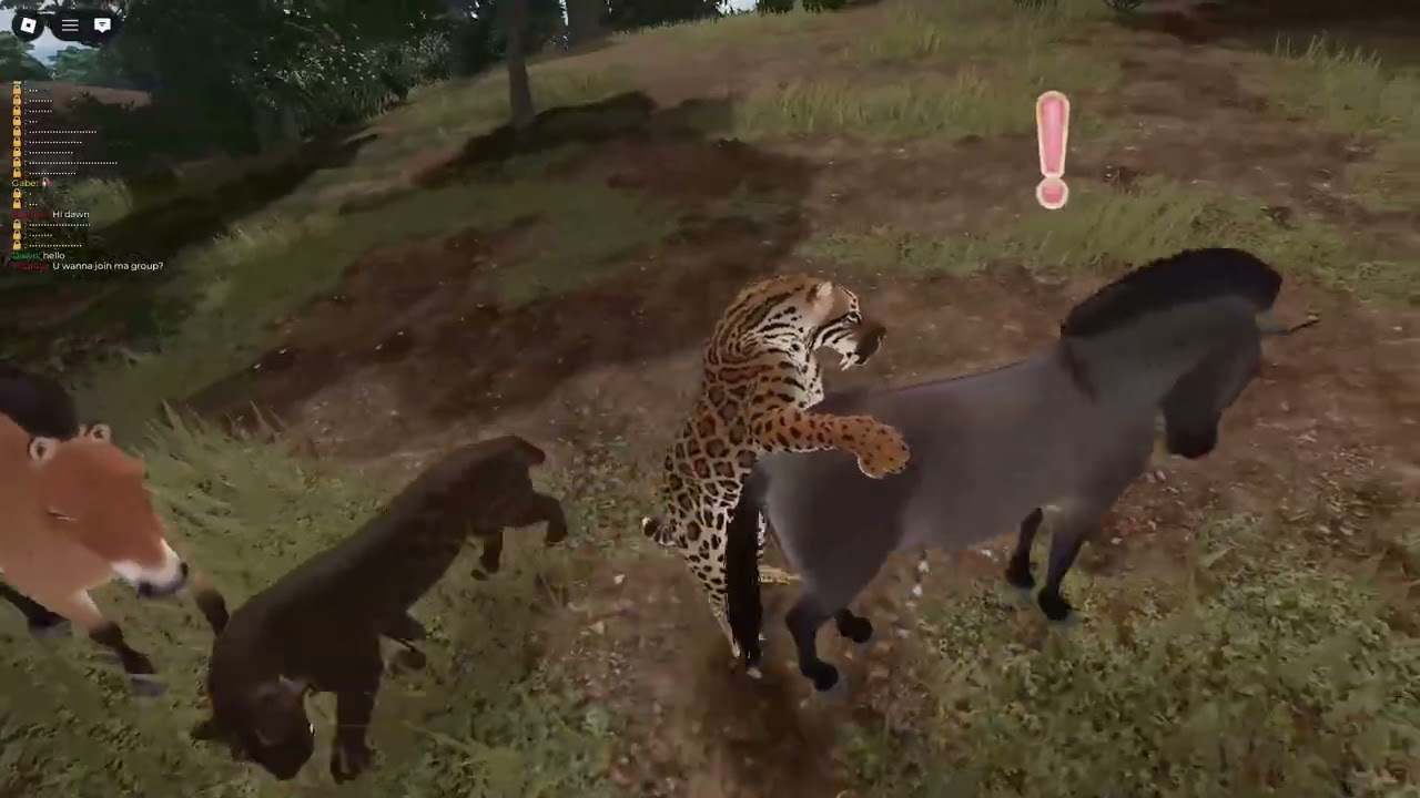 Me playing roblox with someone...