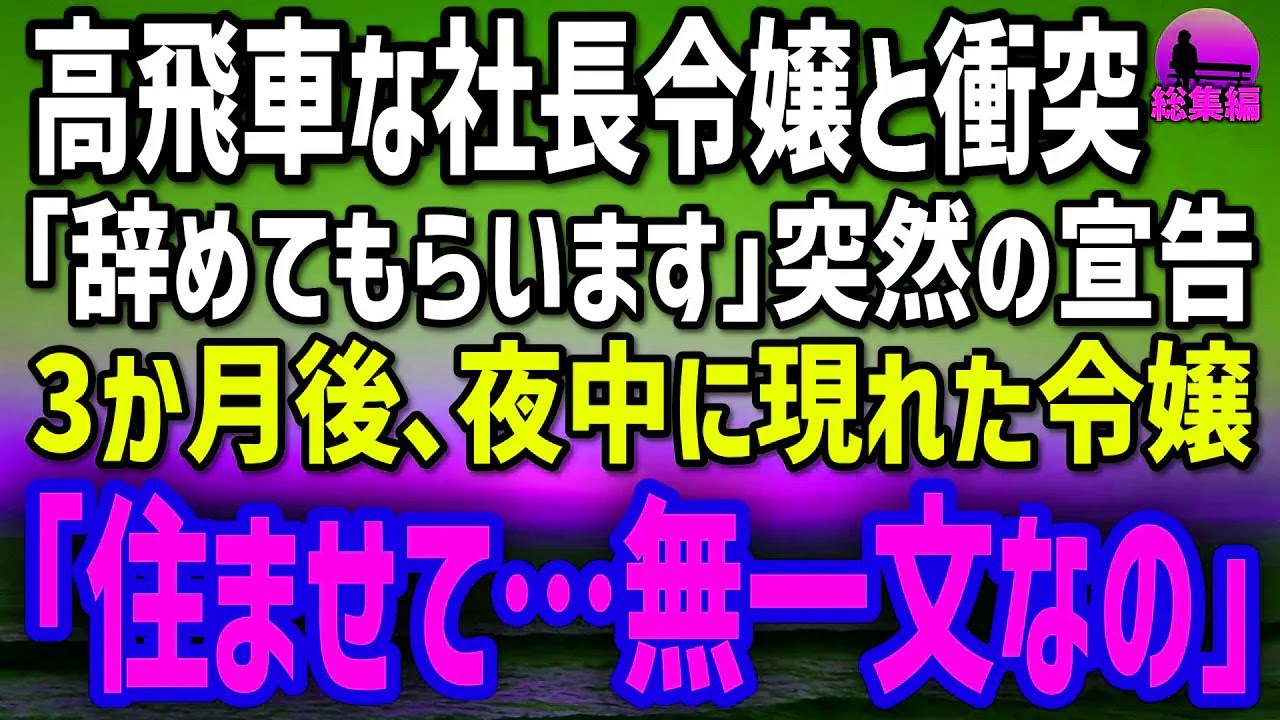 【感動する話】社長令嬢と衝突しクビ…数か月後、突然現れ「ここ…住んでもいい？」→そこから始まった“奇妙な同居生活”とは？【総集編】