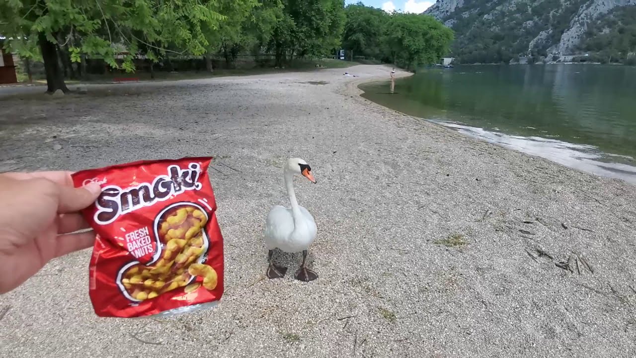 Kupanje u Skradinu na rijeci Krki