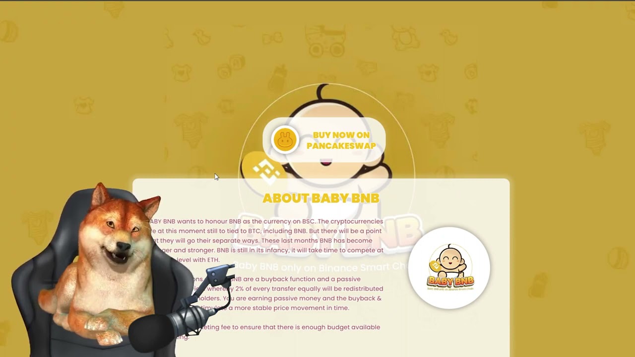 How to Buy BABY BNB Token   Step by Step How to BUY $BabyBNB Token via Pancake Swap