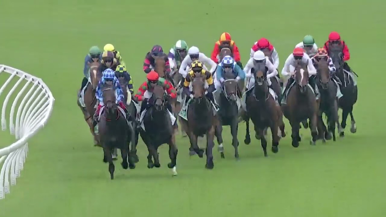 POSTER GIRL WINS THE MAGIC MILLIONS FILLIES & MARES