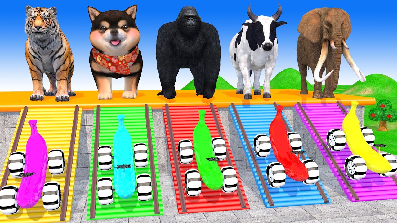 Long Slide Game With Cow Elephant Gorilla Hippopotamus Tiger 3d Animal Game Funny 3d Animals
