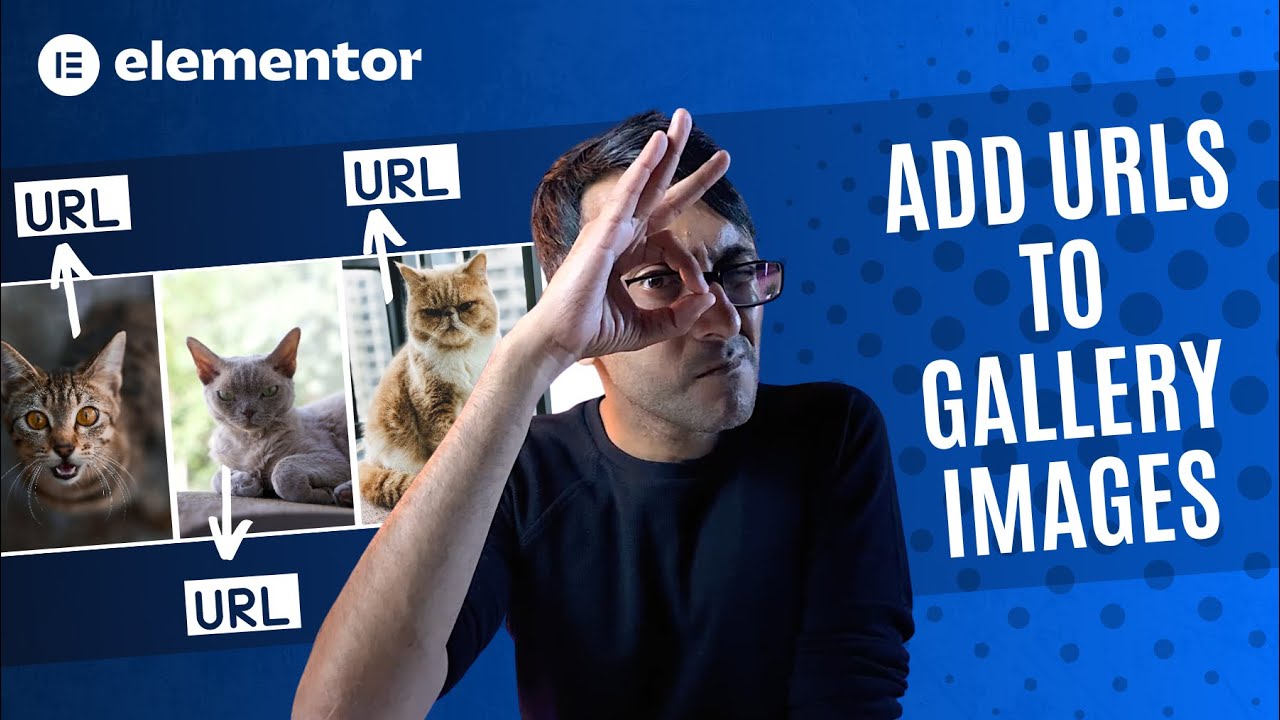 Add URLs to Images in the Elementor Gallery - FREE Code - Element.How - Elementor Wordpress Tutorial