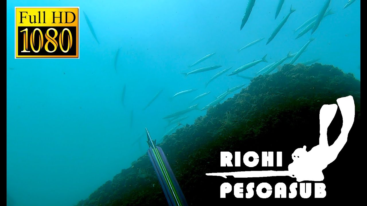Pesca Submarina en los bloques de Valencia JUNIO