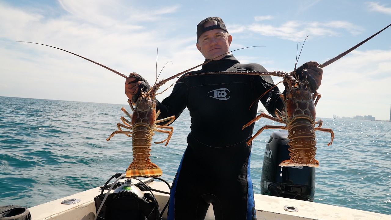 Look at all those mutton snapper on the bottom in a 100ft, Fischer the half man fun, funny moments.