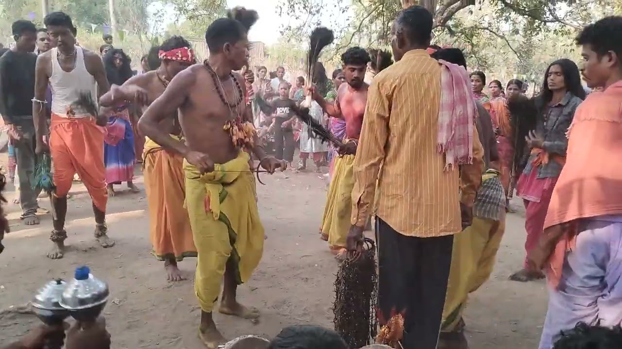 Wakli pandum #gondwana #koyavideo 